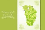 Abstract Grapes Background with Sample Text